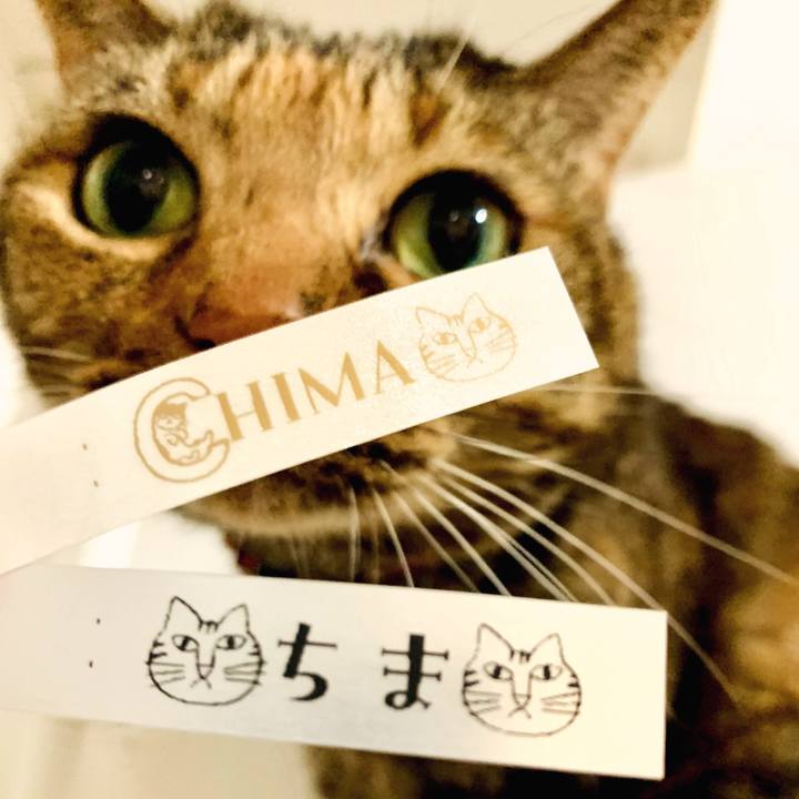 0ed63e82 abc4 4b27 838e d03ebcdc0d72 1710455285194