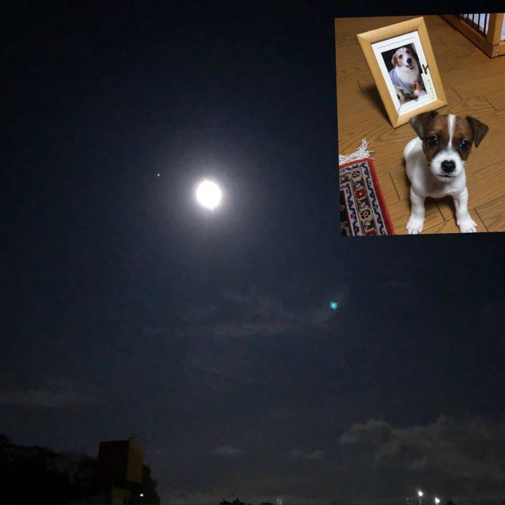 0ed6a5c0 c491 4e42 992a 23af8702ce72 1603967010814