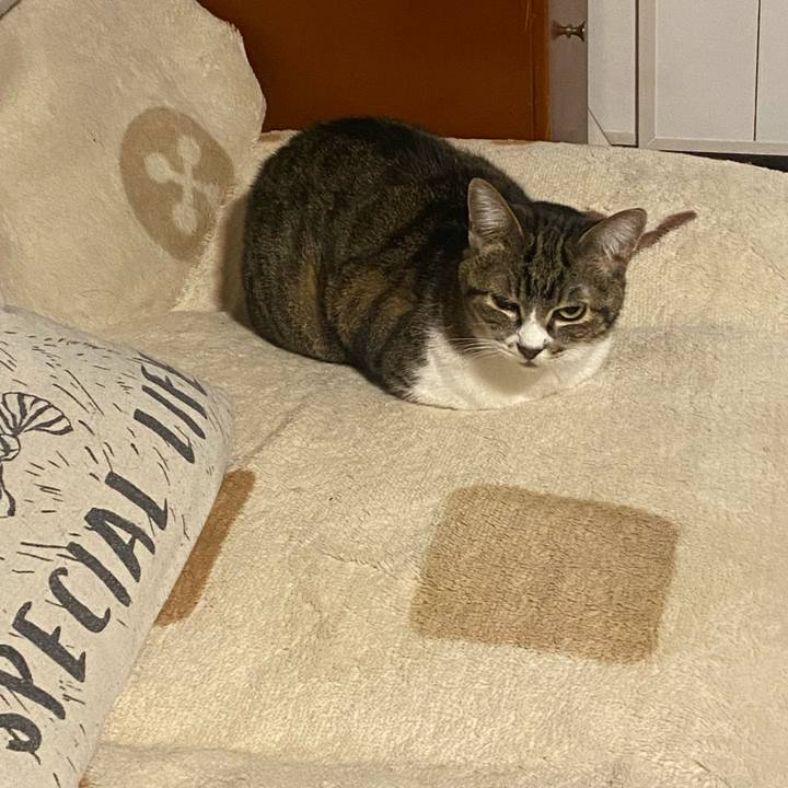 0ed6bd61 3ce9 44f4 a4aa 9efdaed5cdc3 1678999565455