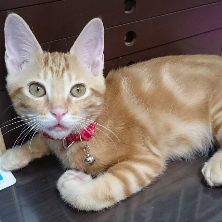 0ed6d819 ec07 4391 8df7 11130cde7e18 1512651616500