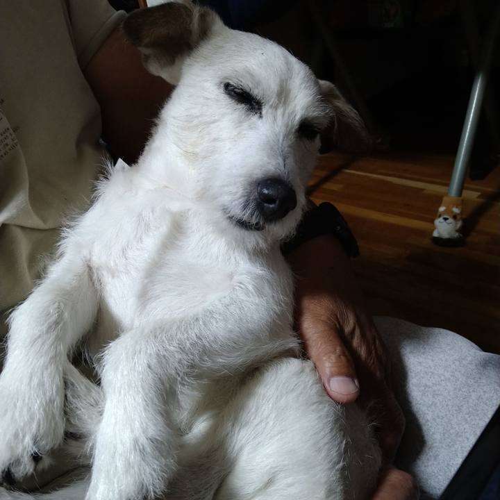 0ed70a45 878c 4479 9d89 762773e4c96c 1732017751669