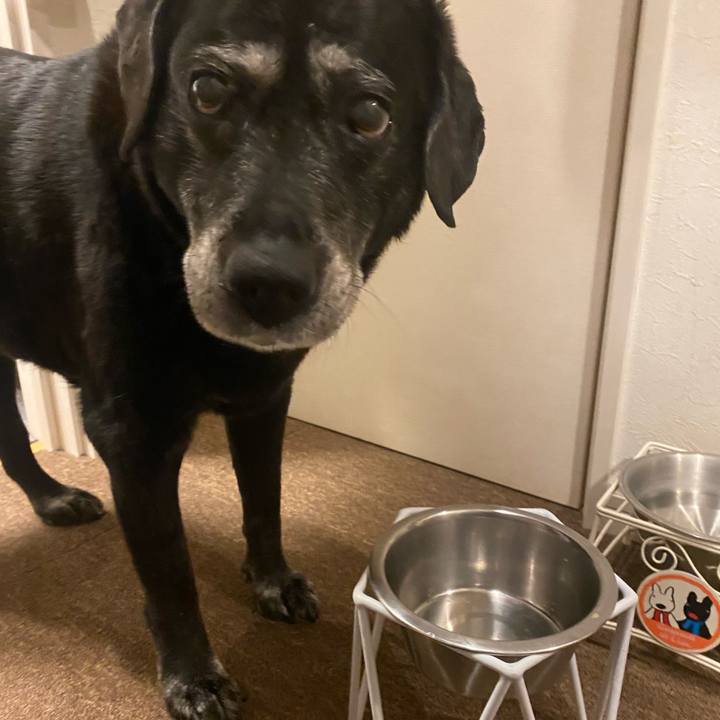 0ed71ece 0577 4565 9c7d 43db1bbe399a 1699348151593