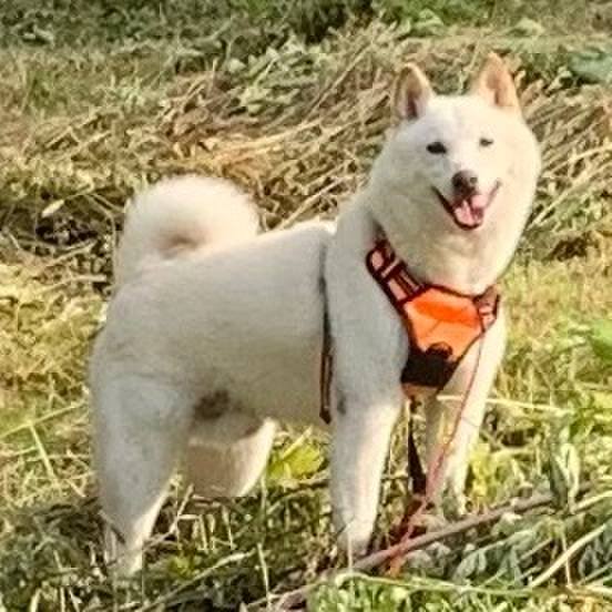 0ed72ce6 9d9c 49e8 843e 8fe789368e1d 1626116574401