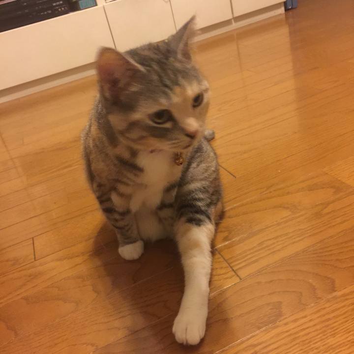 0ed735aa b7cd 466e 89cc 8b8de62821b2 1559493265687