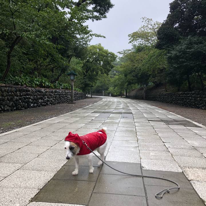 0ed760a2 7853 4273 bf84 27c9772b8bc2 1600384587496