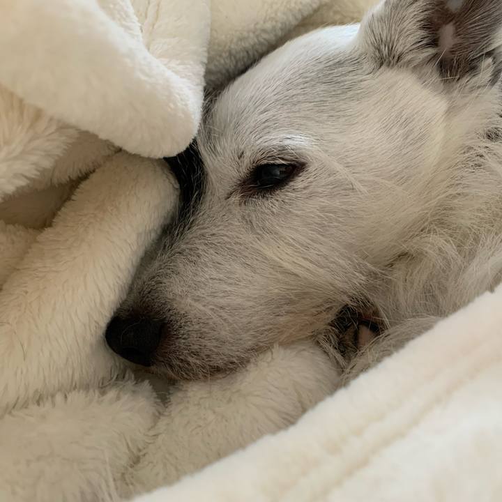 0ed78fb6 e822 4633 8dbb bacf0ea2de8d 1731994808158