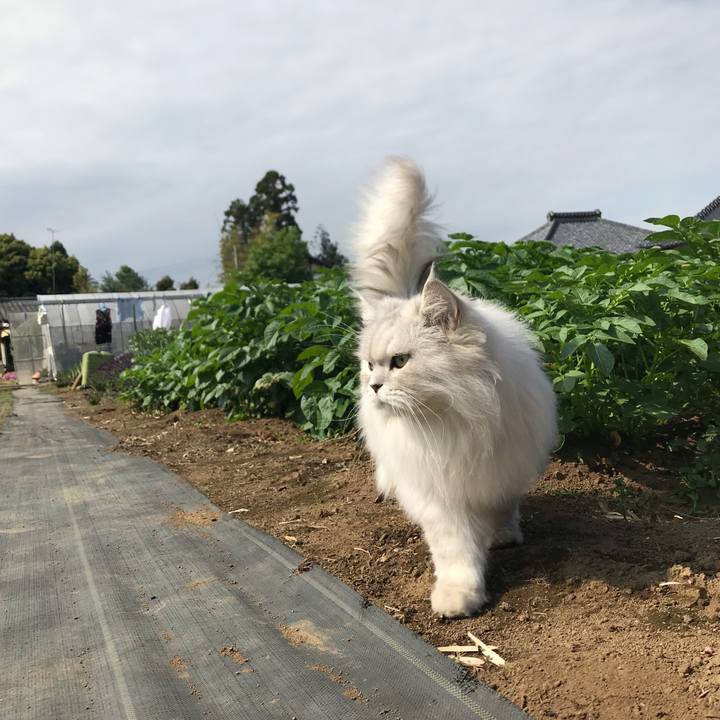 0ed7ba6f 8b8e 4199 bdb4 c76eeae17a3d 1621066702393