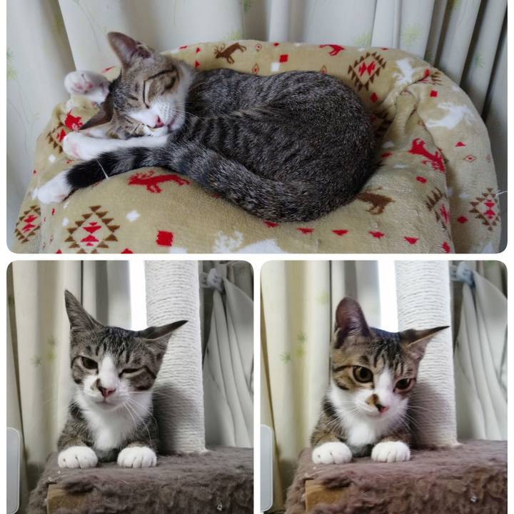 0ed7f5ff b365 476f bb4f 33547afdadd1 1665876425043