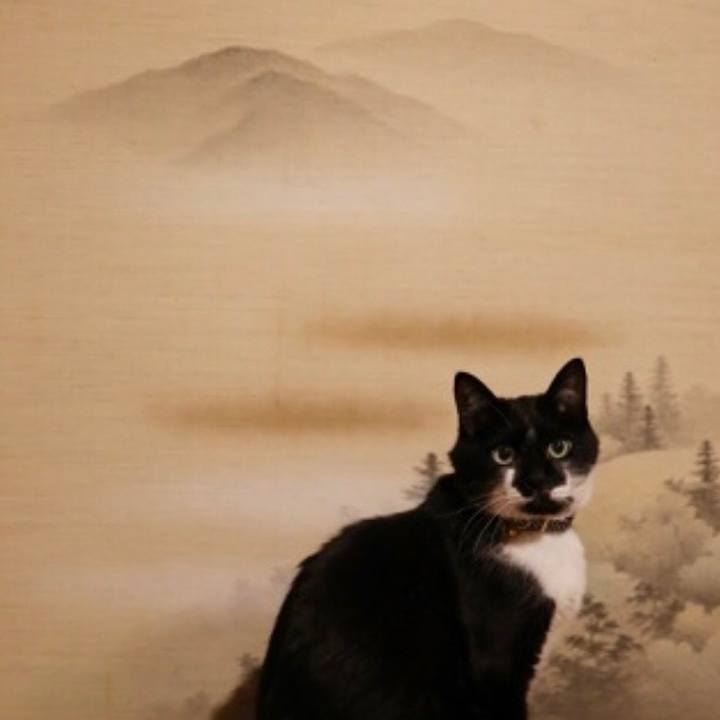 0ed818b1 dd05 4e74 b91f 8c88dcad44f6 1557696655601