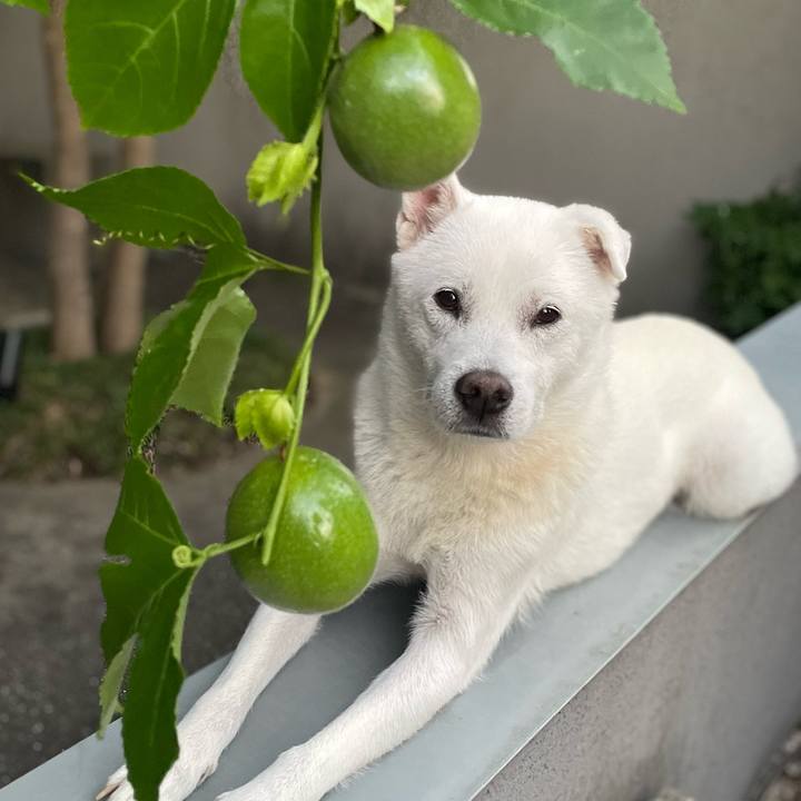 0ed8211d d61e 4d73 b414 ef82295770f7 1730628834107