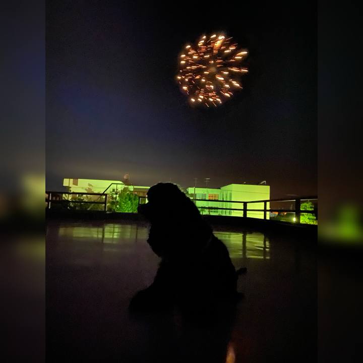 0ed8432c 9f08 43df 9d87 38fb8595c622 1714978587419