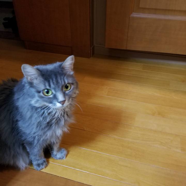 0ed84c5b fc57 4c7d 92cc 928aae822415 1536139218370