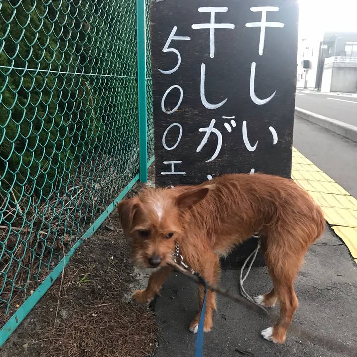 0ed858c8 4186 464a 899c 6f0c983427f9 1542630639854