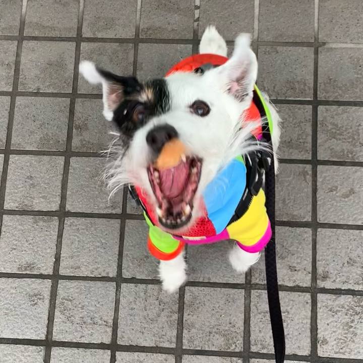 0ed85ce8 9bf1 4ef4 951c c1bfda27de16 1714177227232