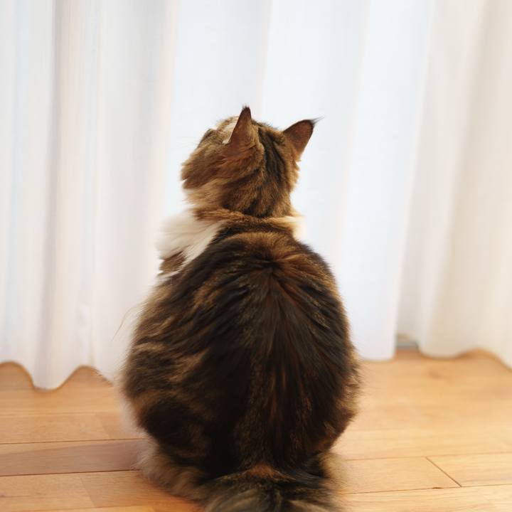 0ed88ed1 6468 4fdf b7b3 34e74952bbb1 1738305576942