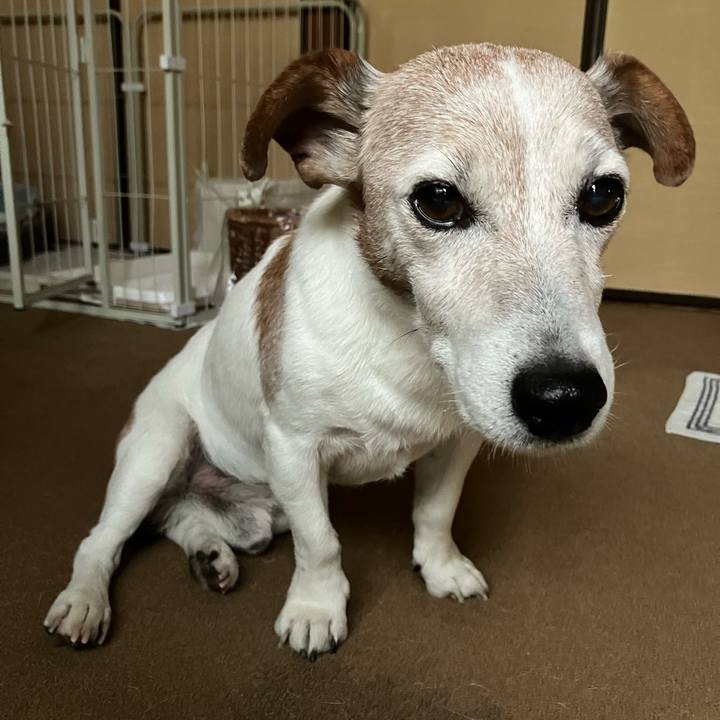 0ed897c3 1a53 425c b930 ac1eea6fba4e 1759874690896