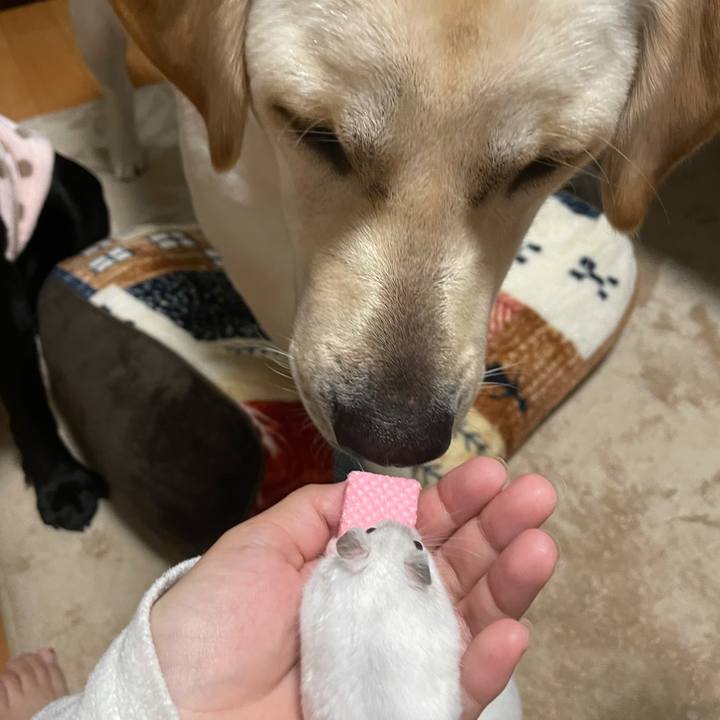 0ed89a84 6247 4176 a5c6 8f3b03d42fc9 1635832943731