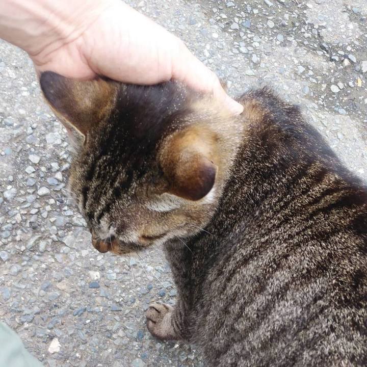 0ed89d24 ffb3 425e b797 d5ee4baf48ba 1590192050906