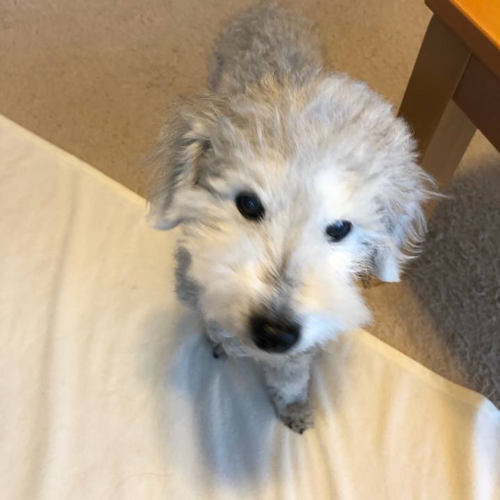 0ed8a95d d657 426e 98c8 682cb0055620 1654474278129