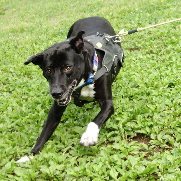 0ed8b4ee 6b71 4b11 942c 19cc06b4069e 1650933664906