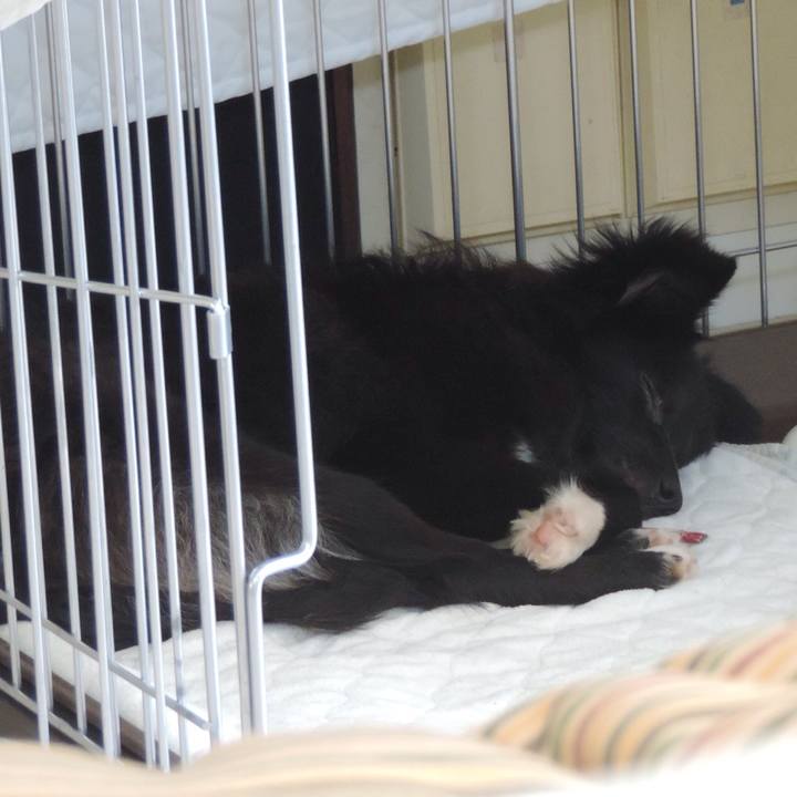 0ed8ca9d 6e13 4b14 9296 aac4993cef28 1519825881292