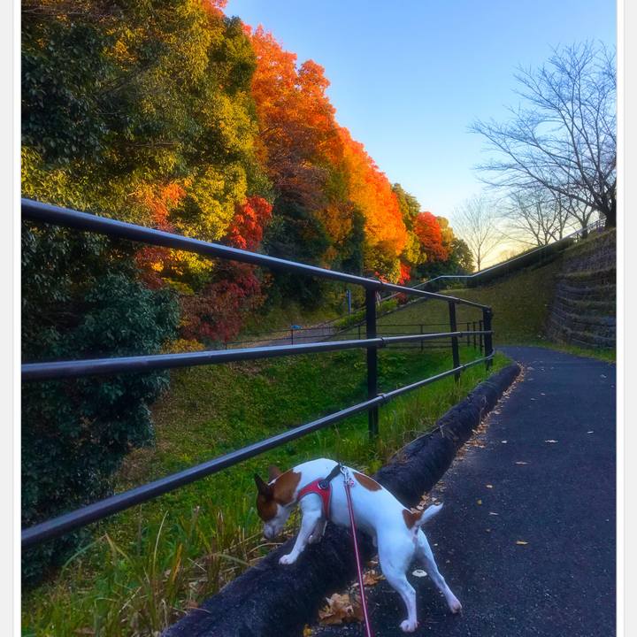 0ed8d34a b421 4e2b 8ac5 3538b491b5b0 1512226657462