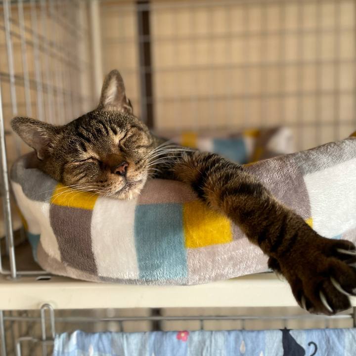 0ed8d9cd d453 448e 8cec be0c90a47e0f 1617324352582