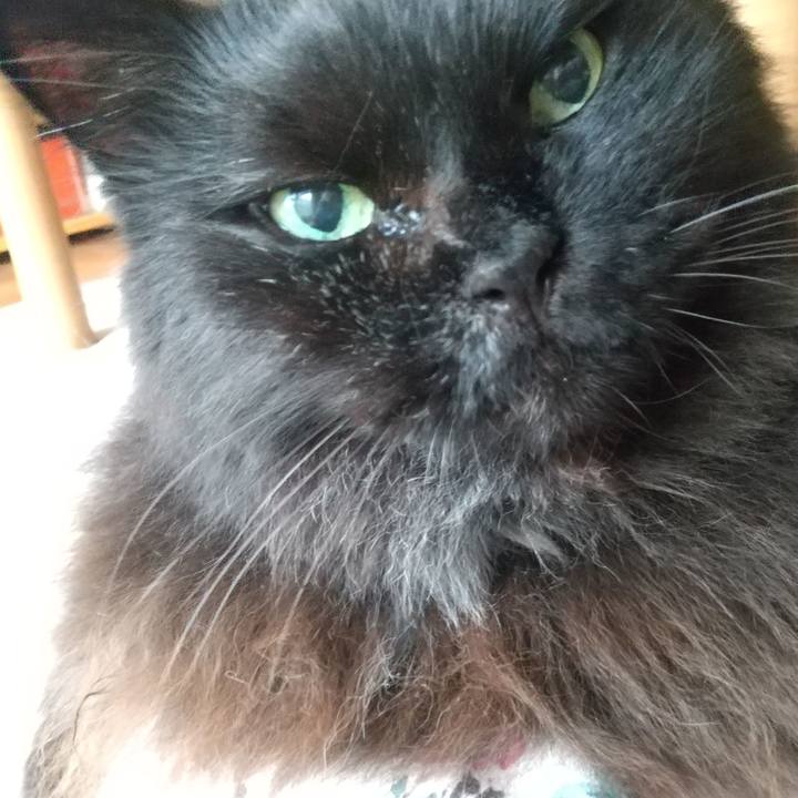 0ed912da 643a 4917 82ed 7656e94d33ce 1634079327853