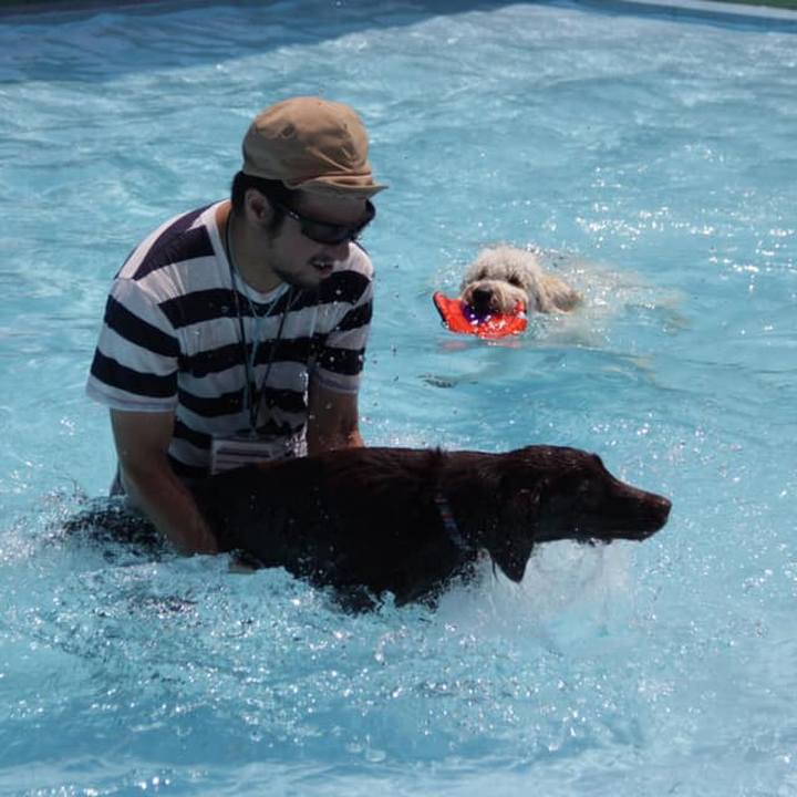 0ed91755 a94f 442d b279 c444afabccf2 1564269417872