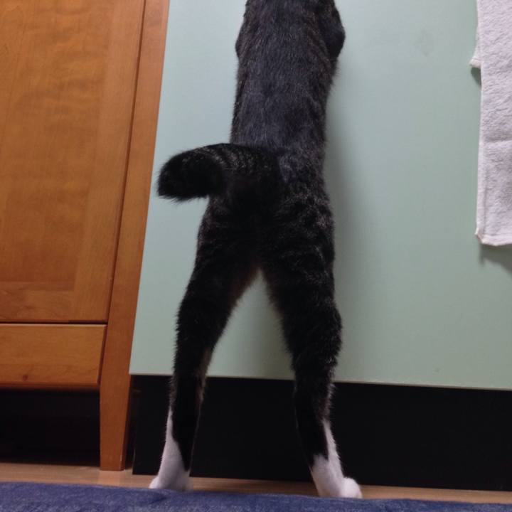 0ed938d1 a1a3 4c40 a3d2 d612b1aba5e3 1507643663191