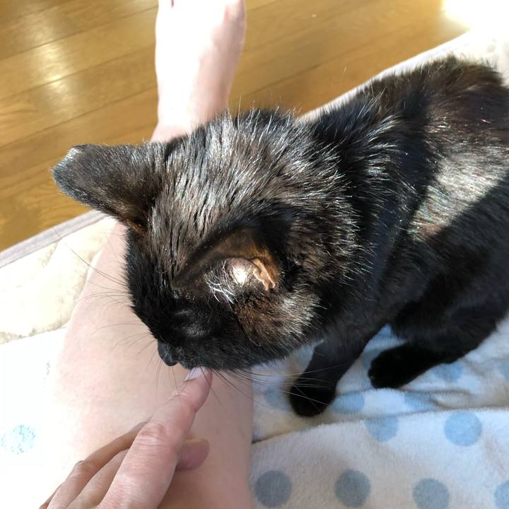 0ed95f85 79d8 4019 b1d2 ad27d8cab6fb 1557695232304