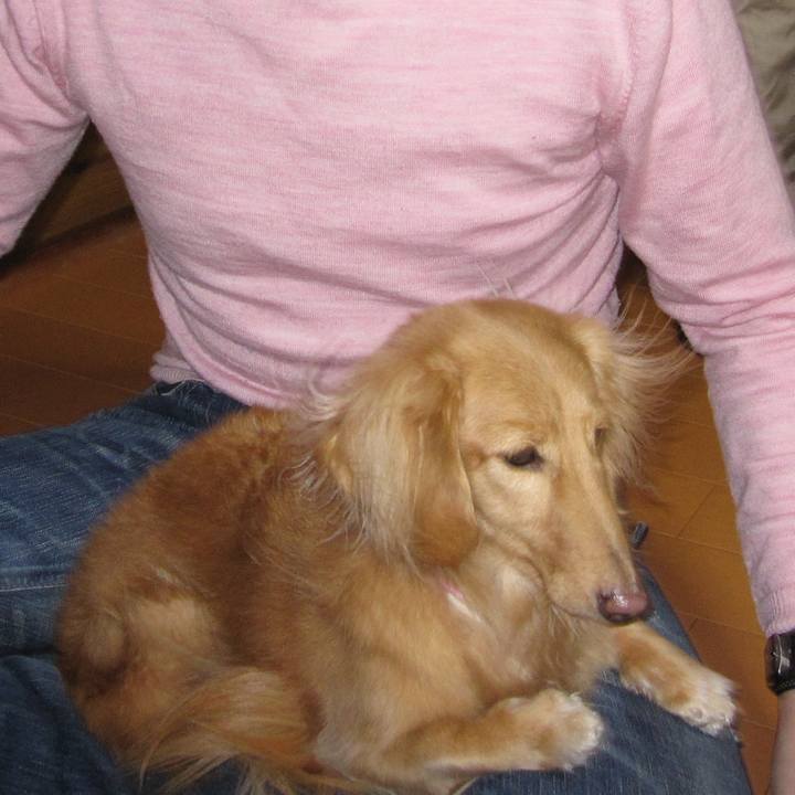 0ed97b0b 68ae 4d66 af79 0cb977be2641 1593297773459