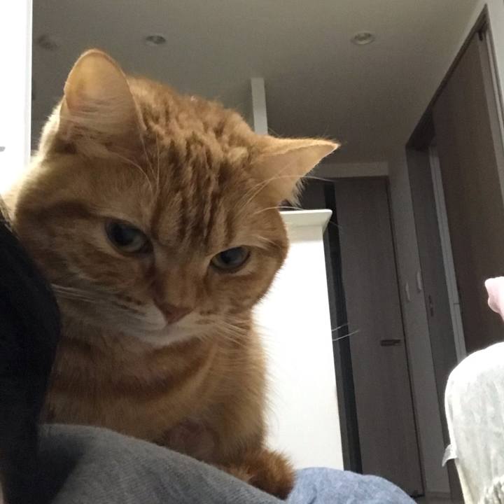 0ed9920f 94b8 4c0d af63 340f7e98eec7 1550747443390