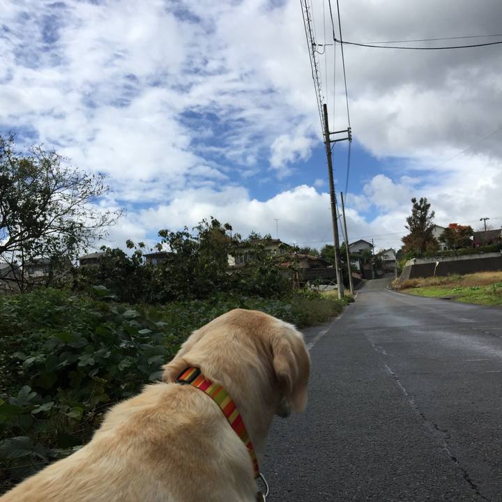 0ed99787 763f 47f3 af09 e78787a39ed8 1509431655039