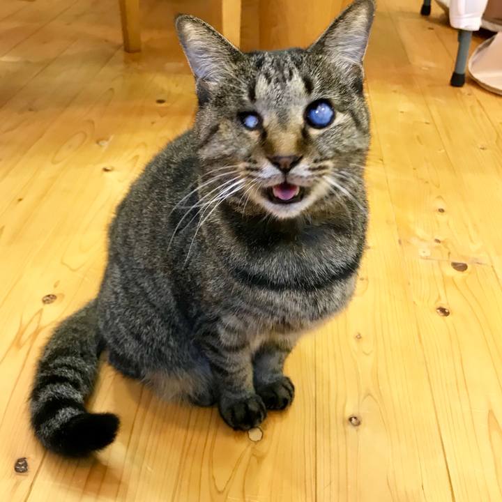 0ed9c0f8 5cf6 4765 9220 d35d4cd2e86d 1538207375444