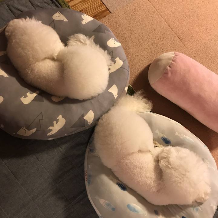 0ed9c25a fe66 4b41 8596 a913aa92bf7a 1571903427835