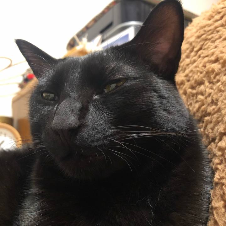 0ed9c36c 5dc4 4c9b a2f6 e1e362a22b08 1550075844753