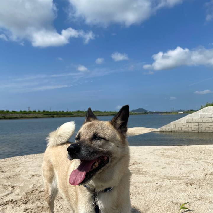 0ed9cd35 4f23 445c 9e03 bcba40c0a3b9 1690025506036