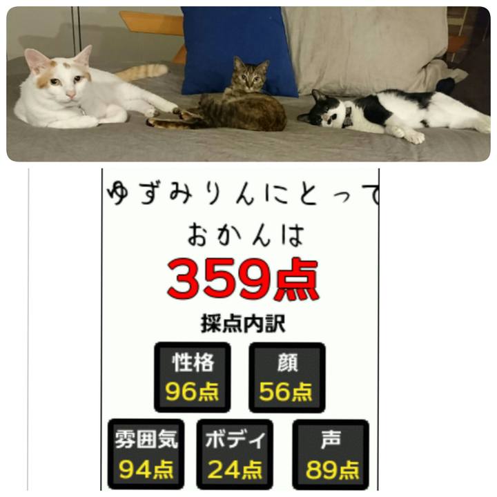 0ed9d0c3 977a 43d7 a915 8fcc33ad0f53 1530551773101