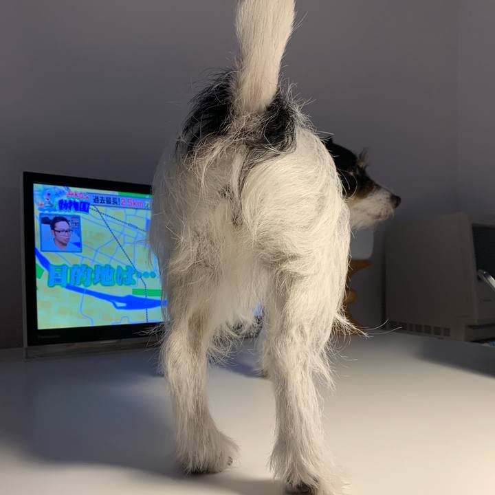 0ed9d1d1 fb7e 472d 8fee 0514c4eda966 1689423638606