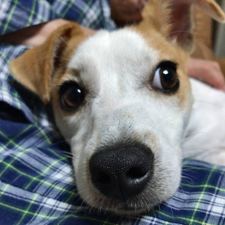 0ed9f12f b27c 4394 95b7 b30b813cd3aa 1570762260587