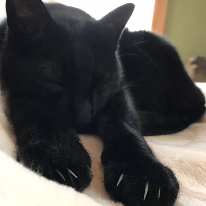 0eda27ed 210e 4120 805e 2c7ef2e9dd81 1521161071767