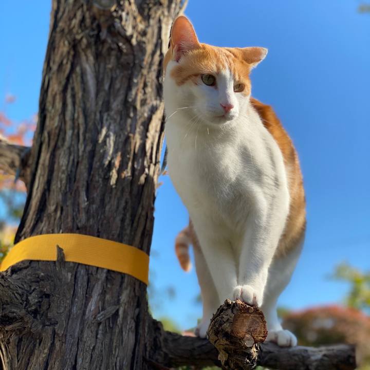 0eda5513 9b51 4ff6 bfbf 8649e753879c 1572842749904