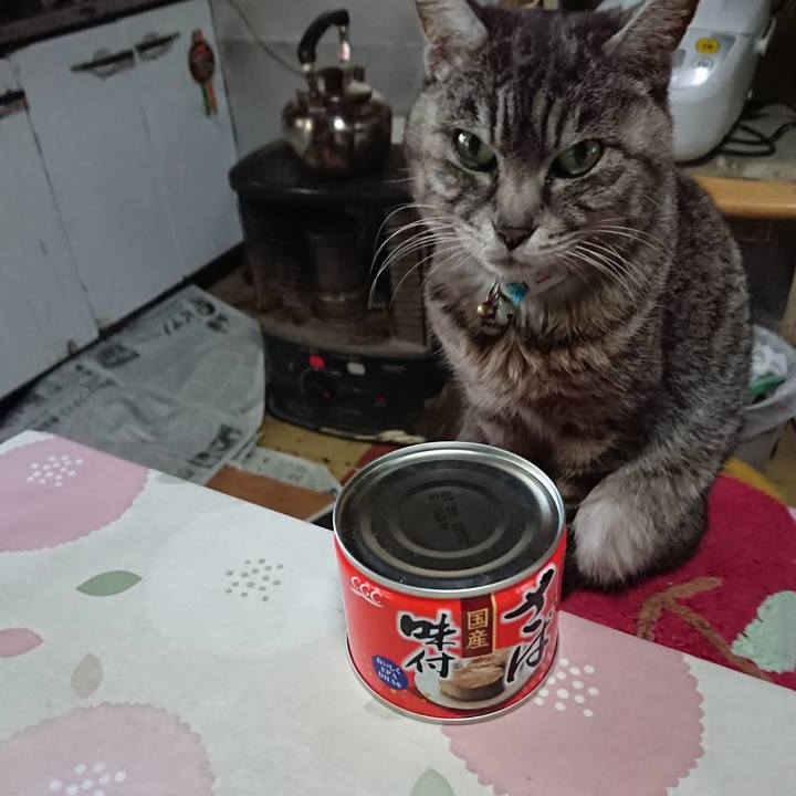 0eda8ca8 44a4 4d85 90eb 44a2c564c365 1554434225117