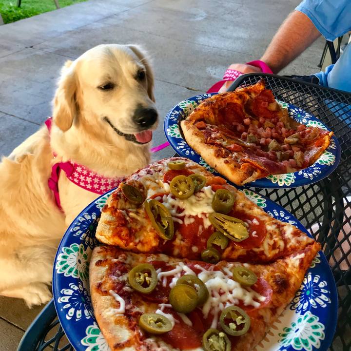 0eda986e 92c8 41be a3ef b7a1474a3b74 1525676339213