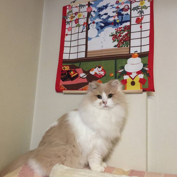 0edace84 2e86 49b6 8095 5fc3e37f8448 1546312160343