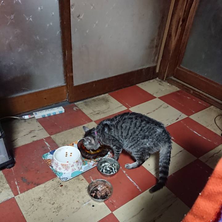 0edae2e1 c238 444f b60a 0372de8a7bf6 1585431583192