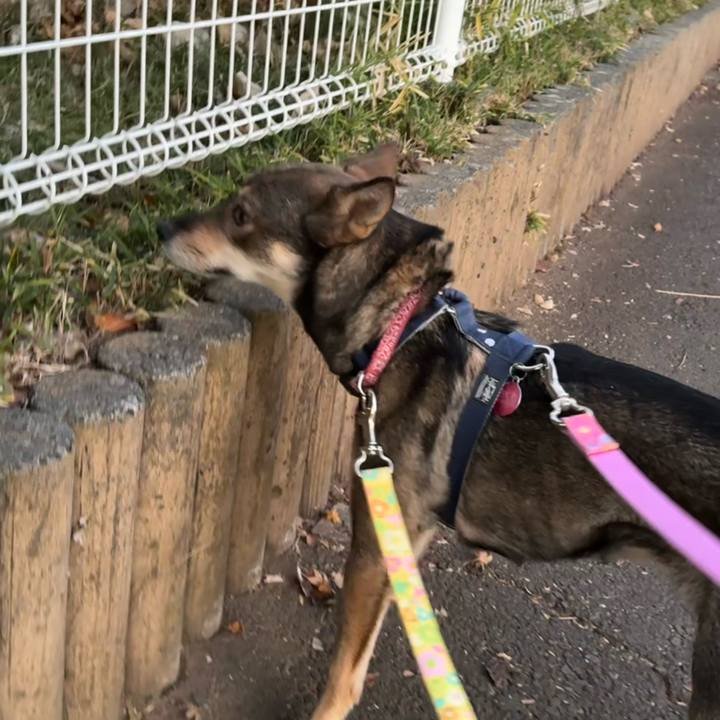 0edb250f 05ed 4937 9bcb 51b7563e54e4 1765425779667