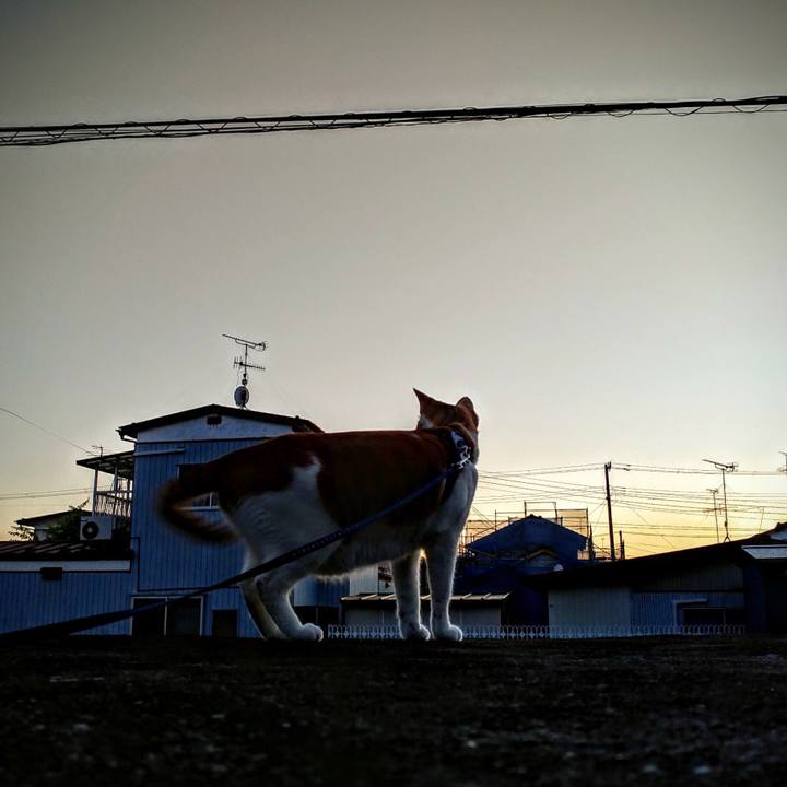 0edb4c79 1718 42b7 92f7 a2d0ec161dfb 1527164402112