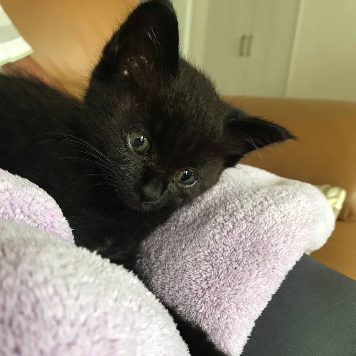 0edb5e75 e430 43f4 8a17 ca3044ded2bd 1657151424802